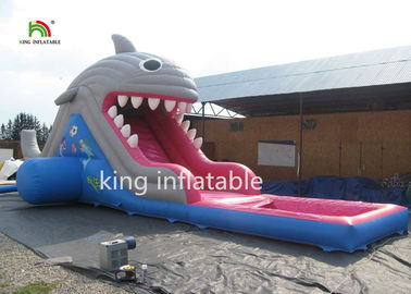 6m High Shark Inflatable Water Slide With Pool / Small Blow Up Slide For Kids