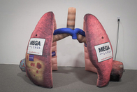 اندام های انسان بادی، ریه های قلب غول پیکر برای آموزش فعالیت های پزشکی نمایشگر