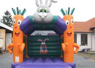 مهمانی از قلعه پرش بادی بچه های کوچک با هویج و خرگوش 4X4M استفاده کرد