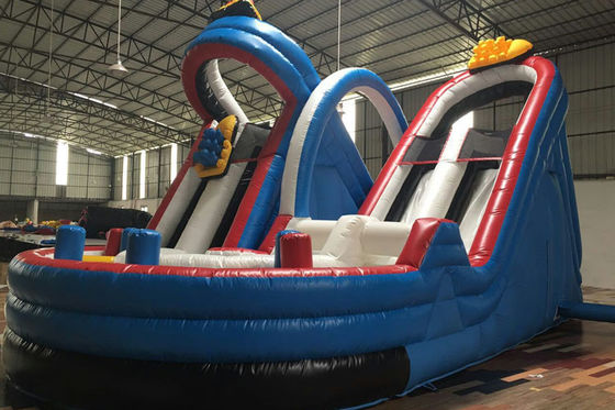 کودکان و نوجوانان بازی غلطک کاستور تورم اسلاید، Inflatable Amusemet پارک اسلاید